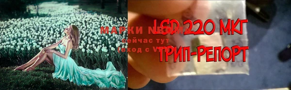 mix Пересвет