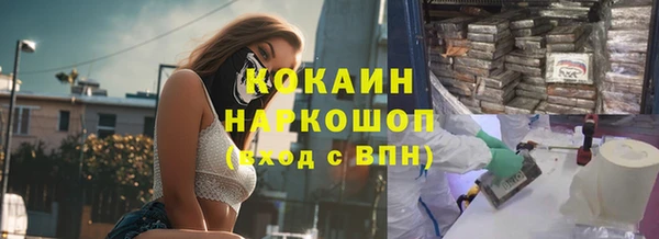дживик Пестово