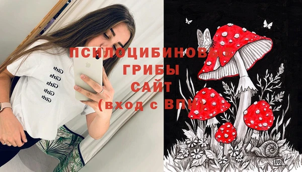 mix Пересвет