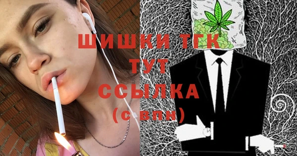 дживик Пестово
