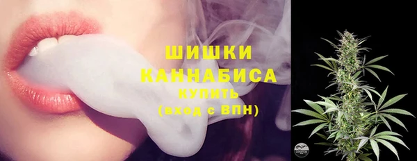дживик Пестово