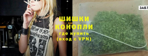 дживик Пестово