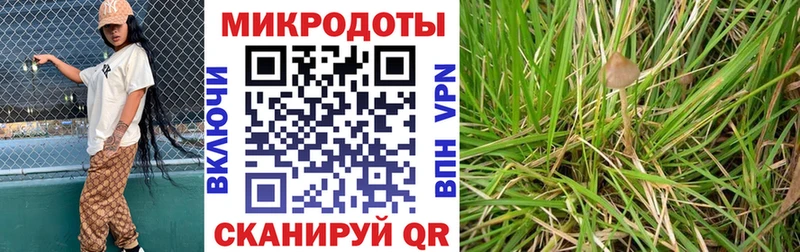 Галлюциногенные грибы GOLDEN TEACHER Шебекино