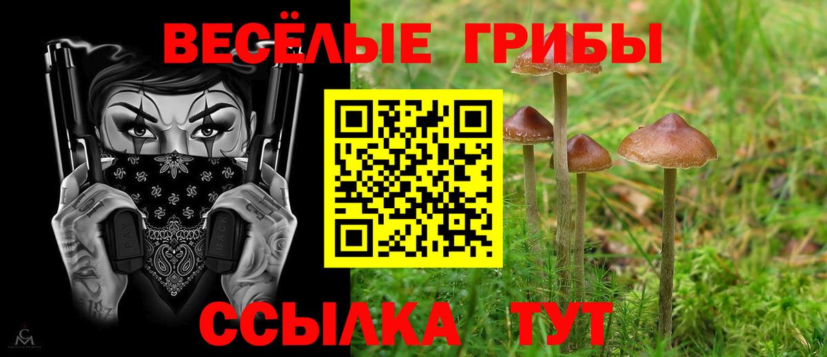 Псилоцибиновые грибы ЛСД  Псилоцибиновые грибы MAGIC MUSHROOMS  Вход с VPN  купить наркотики сайты  Шебекино 